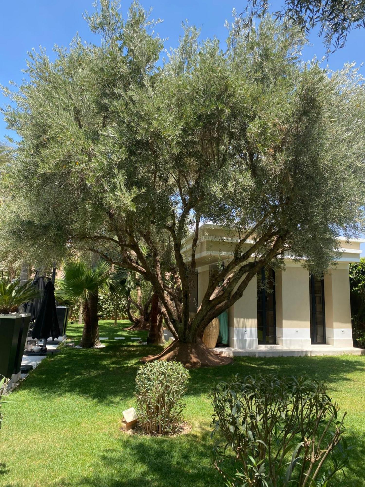 Villa Mano Lagouassem Zewnętrze zdjęcie